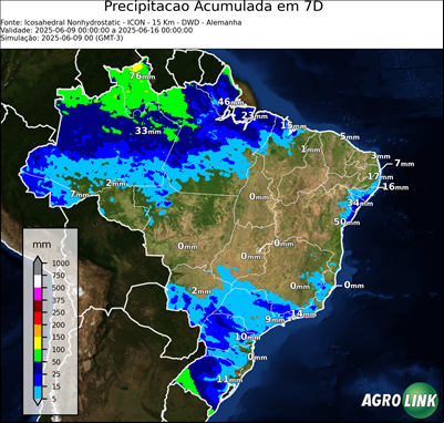 7 dias