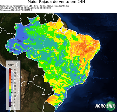 24 horas