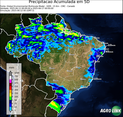 5 dias