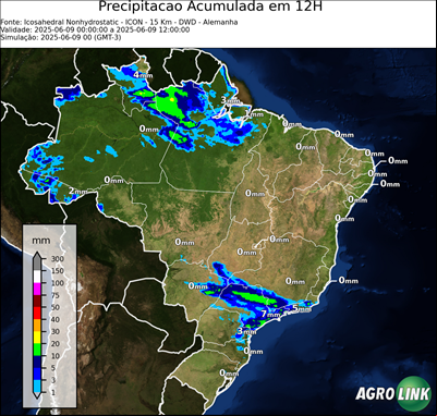 12 horas